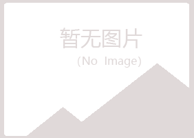 夏河县含烟水泥有限公司